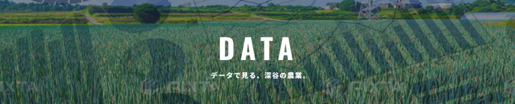 農業データ
