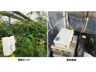 大崎電気工業株式会社『農業支援サービス「ファームウォッチ