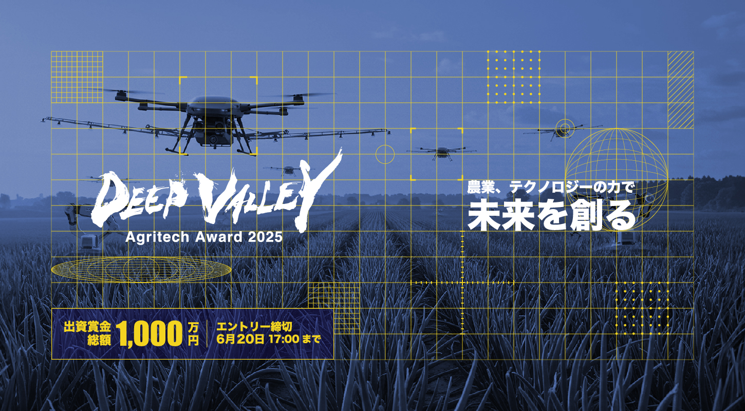 DVAA2023